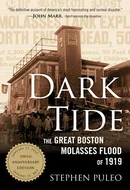 Dark Tide: The Great Boston Molasses Flood of 1919 by Stephen Puleo
