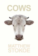 Cows by Matthew Stokoe