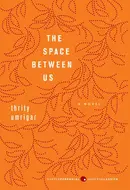 The Space Between Us by Thrity Umrigar