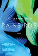 Rainbirds by Clarissa Goenawan