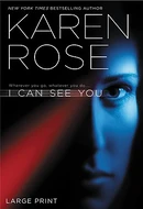 I Can See You by Karen   Rose