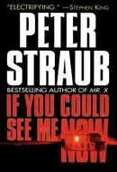 If You Could See Me Now by Peter Straub