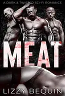 Meat by Lizzy Bequin