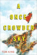 A Once Crowded Sky by Tom King