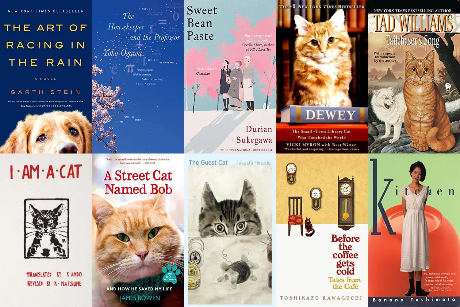 Book Review: The Travelling Cat Chronicles by Hiro Arikawa - Hikaayat