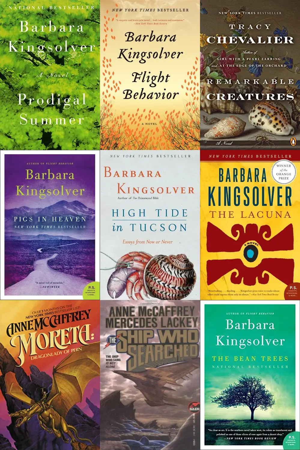 If I liked Animal Dreams by Barbara Kingsolver, what should I read next?